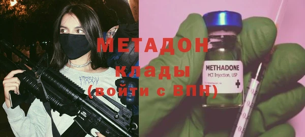 прущие грибы Аркадак