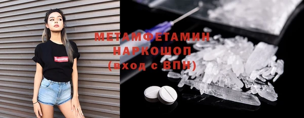 прущие грибы Аркадак