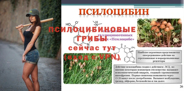 мет Армянск