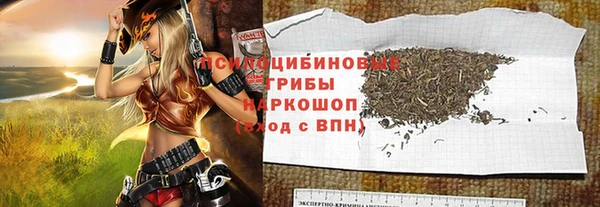 прущие грибы Аркадак