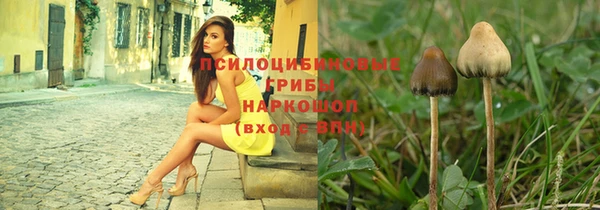 прущая мука Арсеньев